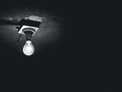 길구봉구 박보람