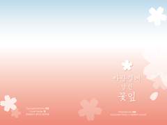 [타이카즈] 바람결에 날린 꽃잎