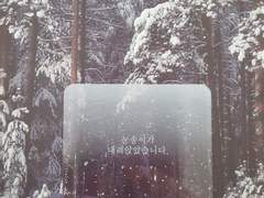 설국(雪國) 소장본 후기