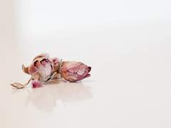 [알베아크] 초여름