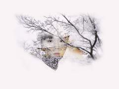 설국(雪國) 영상 by.파토스님(@phatos2033)