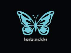 [토니배너]Lepidopterophobia