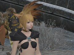 셀리아 자캐설정(ff14)