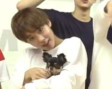 우리 미친개 -28-