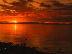 그런 여름이 있었다.