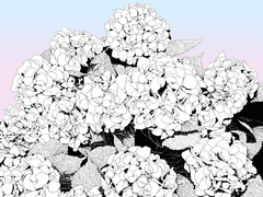 [공지] 믹호의 일러스트&만화 포스타입니다(연락처)