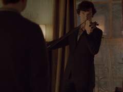 개를 위한 비 上