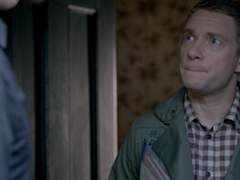 개를 위한 비 下