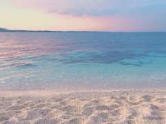 엘리카인 :: 볕이 물든 자리