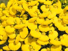 괴물은 절망을 모른다.