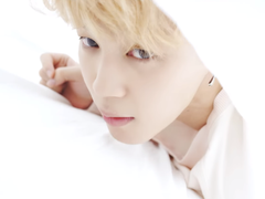 고양이지만 너의 곁에서 下