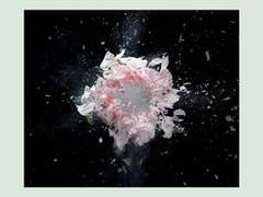 Zedd, Maren Morris, Grey