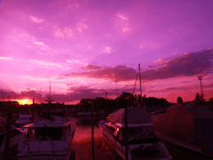 상사여귀 相思厲鬼 -15