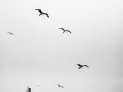 [토니피터] 새로고침