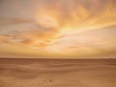 [MCU 드림/로키 드림] The Sun will shine on us again