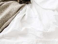 [토니피터] 고양이 손 빌리기