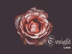 [13집/팬아트] Track 04. Tonight