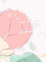 🌪 공지 사항 필독! 🌪