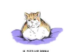 인생고양_ 관계