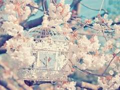 [패치퍼블] 시나브로 段