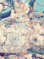 [패치퍼블] 시나브로