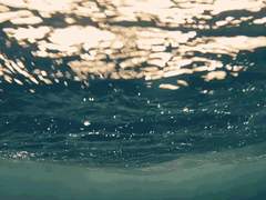 [아라시 사쿠사토] 그 날의 인어