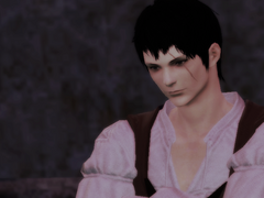 닌자 직업 퀘스트 영판 번역-LV40(1)