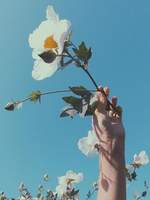 ​Whatever you like