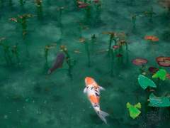 [아카스가카게] 불멸不滅의 밤 -1.01-