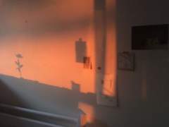 창문을 더듬으며 발걸음하는