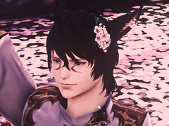 [자캐/자컾]일라이어스/오너 : 테족님(last 210706)