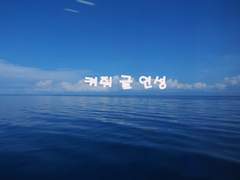 [스구아카] Blooming love