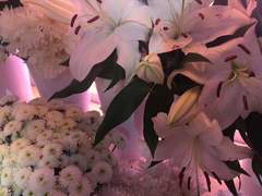 [잼런] 깨진 꽃병의 파편 사이