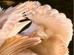 후회하지 않을 날갯짓이었다