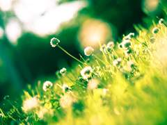 [앙스타/치아키] 경계선상의 소꿉친구