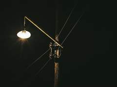 [알베아크] 아카시아