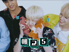 [호시/우지] 호우주의보