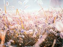 01. 당신이 태어난 겨울 (1)