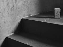 [토르로키] 울지않는 짐승