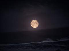 [강림원맥] 생화록 1