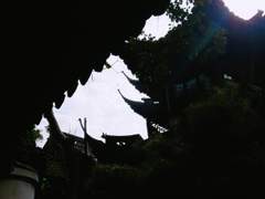 「운명을 같이 하지 못하는 사람들 사이에선
절대의 믿음이 생길 수 없는가?」