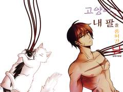 고양이가 내 팔을 훔쳐간 날