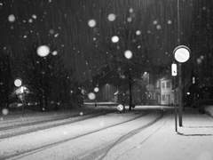 우리는, 거짓말처럼 1