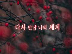 [카게히나]다시 만난 나의 세계 ep.5 (3)