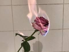 [배테랑] 조태오 어머니