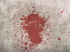 [양시백] 조각글