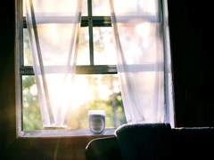 [뉴트민호/늍민] 봄, 햇살, 겨울, 바람