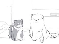 시바우진이와 사모예드니엘이의 육아일기 1~5