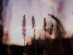 [석순전력]「Mint breath」
