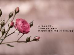 [블랙팬서/몽찰몽] 그 남자의 선물 中